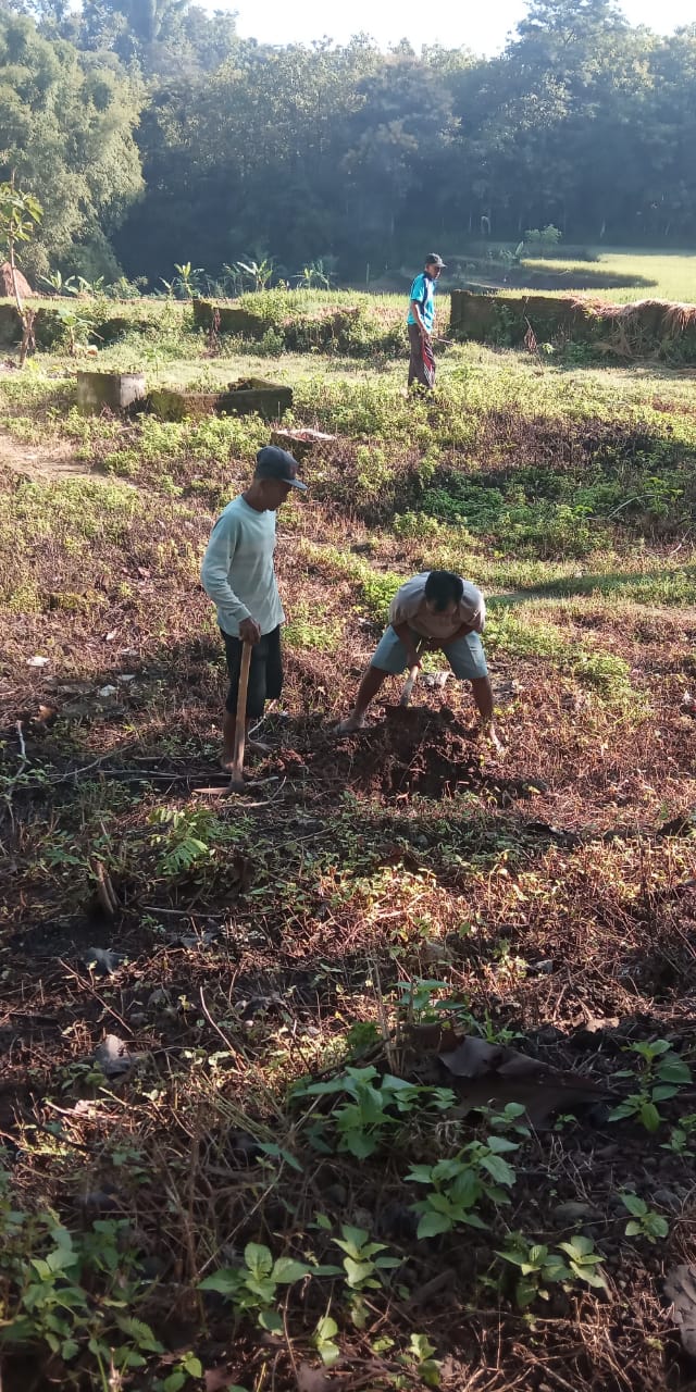 Potensi Desa