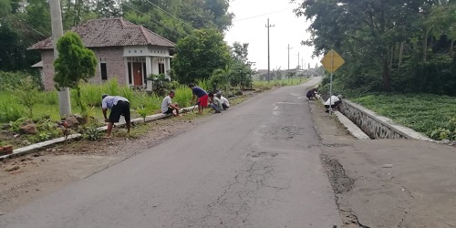 Potensi Desa