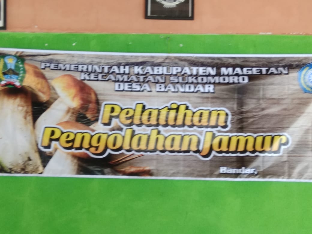 Potensi Desa