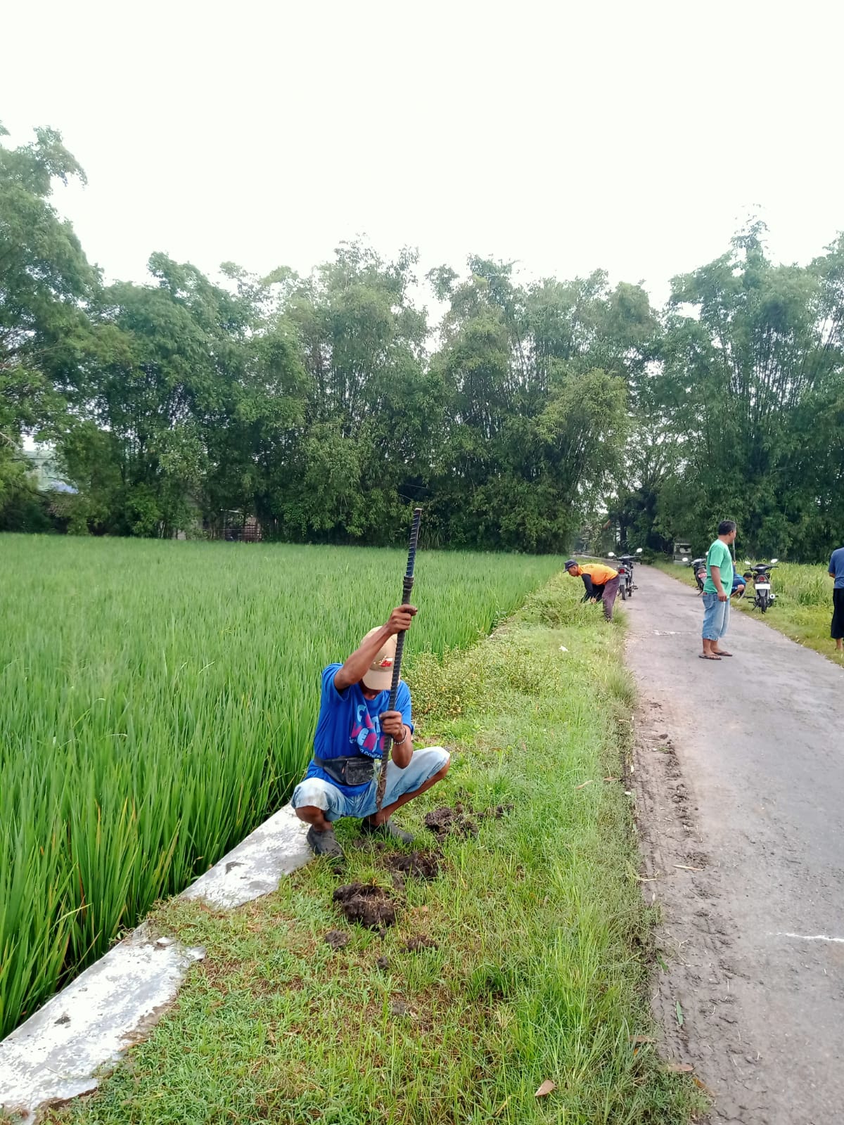 Potensi Desa