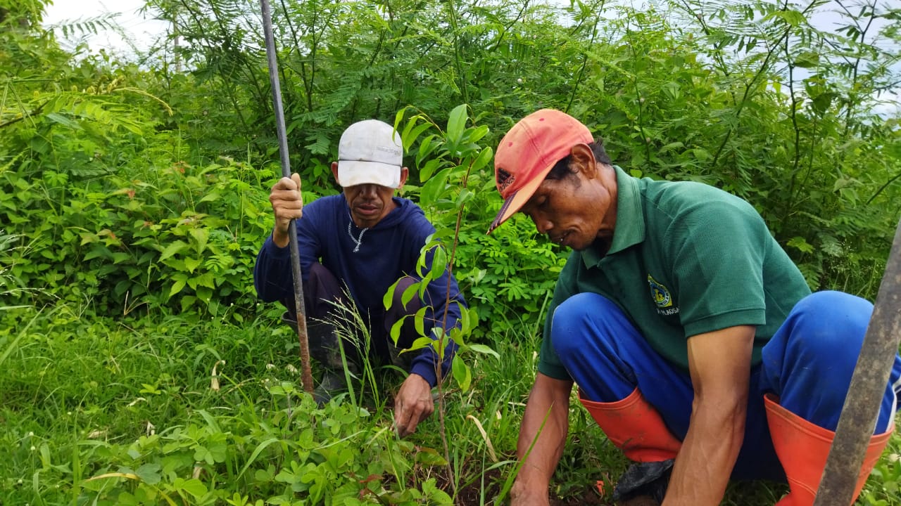 Penanaman Pohon dan penghijauan