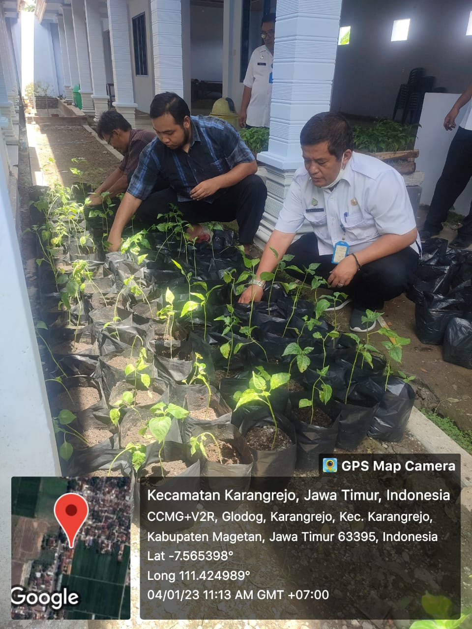 Gerakan Gotong-Royong Reboisasi dan Penghijauan