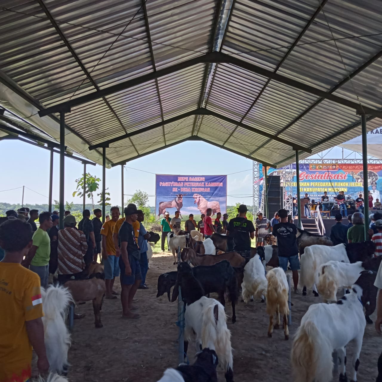 MEPE BARENG PETERNAK KAMBING SE-DESA KIRINGAN