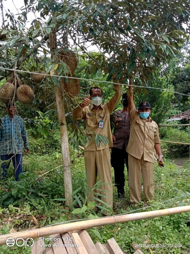 KUNJUNGAN BUPATI TANAMAN DURIAN SUPER DESA SUMBERSAWIT