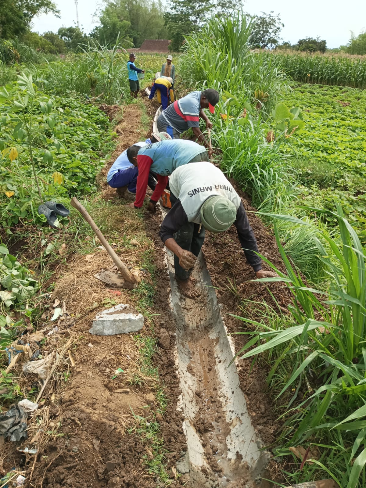 SWADAYA IRIGASI SEKATUL