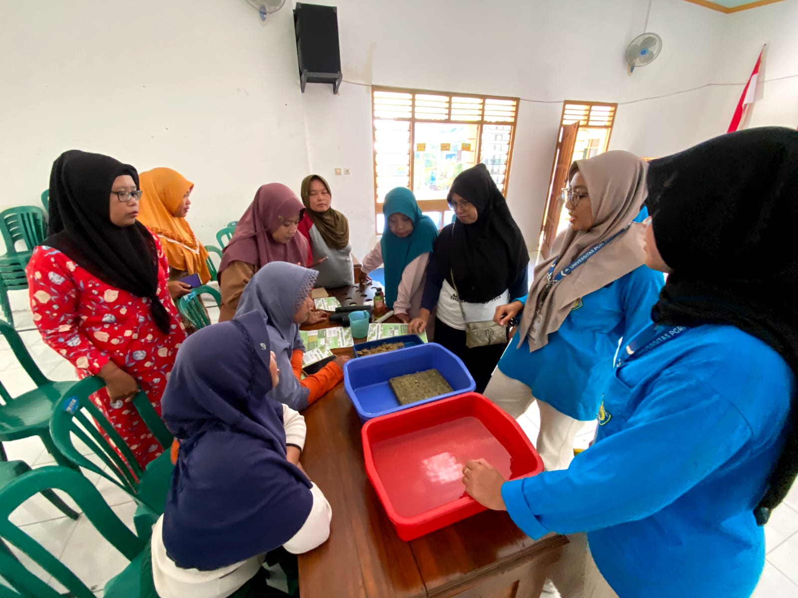 Sosialisasi Hidroponik dengan ibu ibu desa Mangunrejo