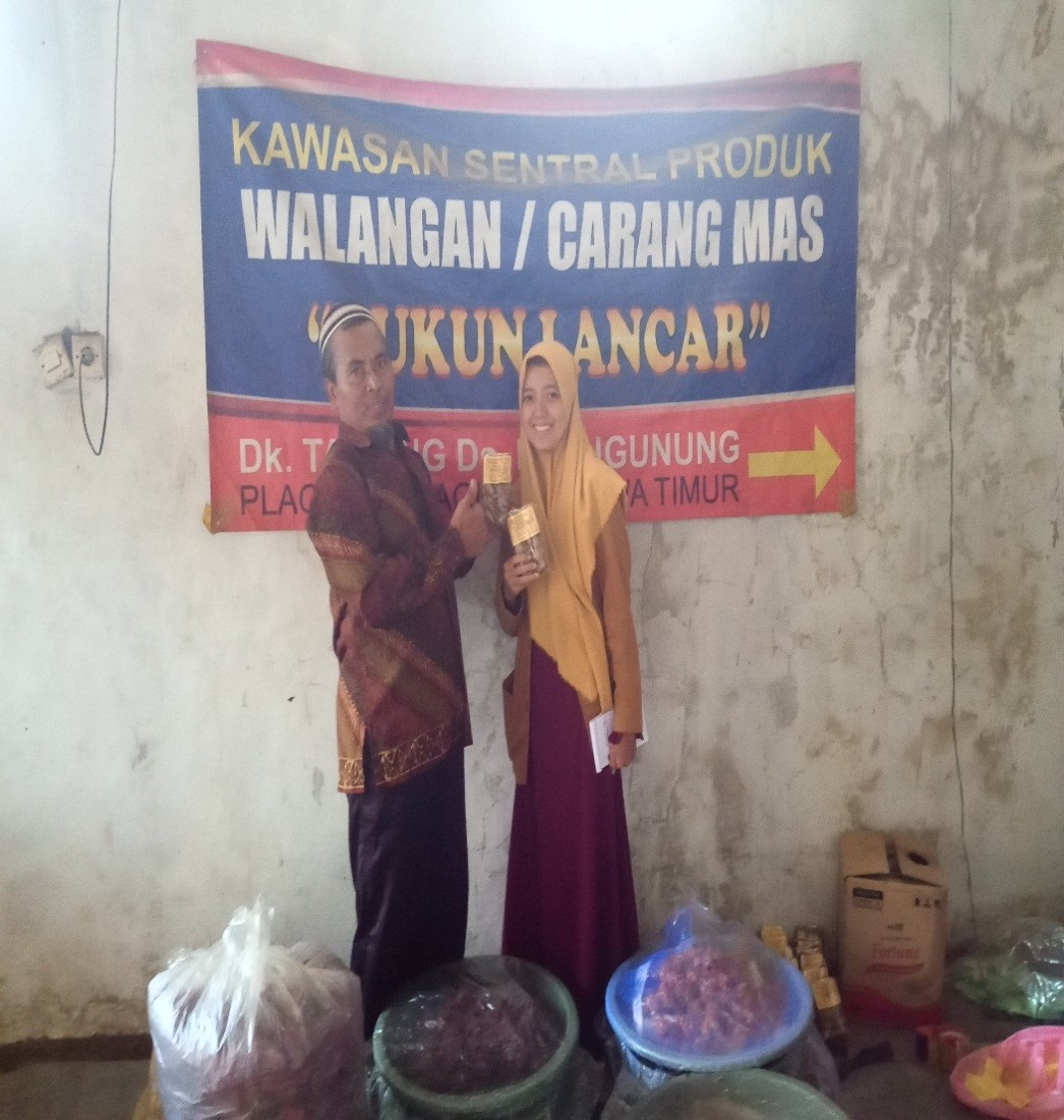 Potensi Desa