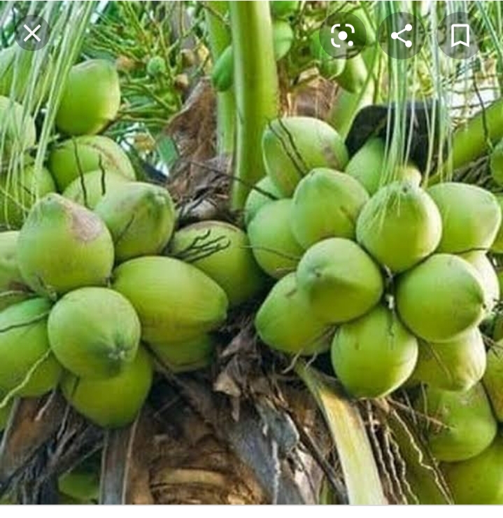 Potensi Desa