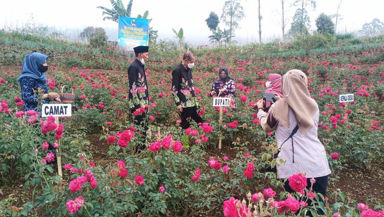 Potensi Desa