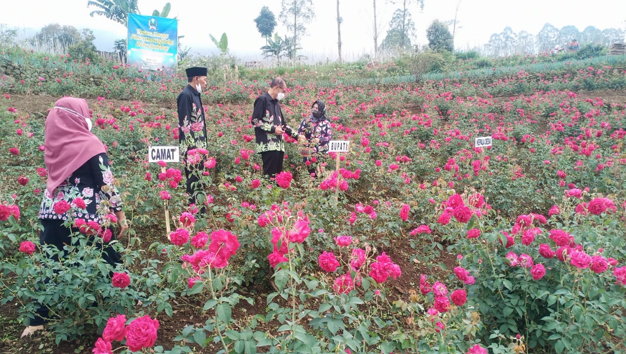 Potensi Desa