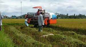Potensi Desa