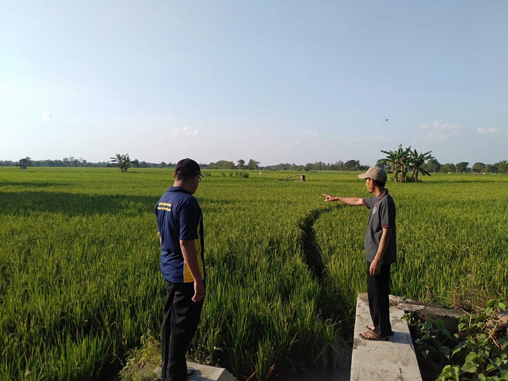 Potensi Desa