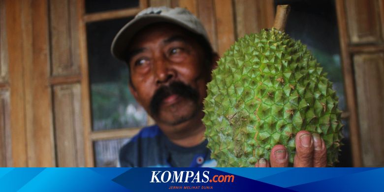 Potensi Desa