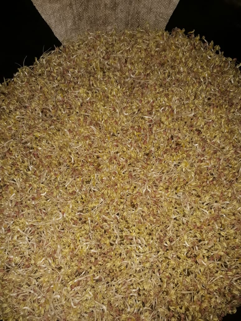 Potensi Desa