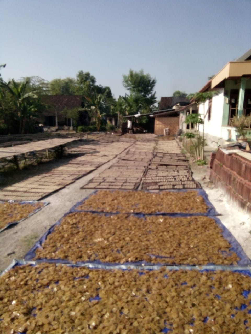 Potensi Desa