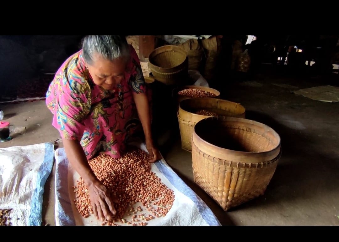 Potensi Desa