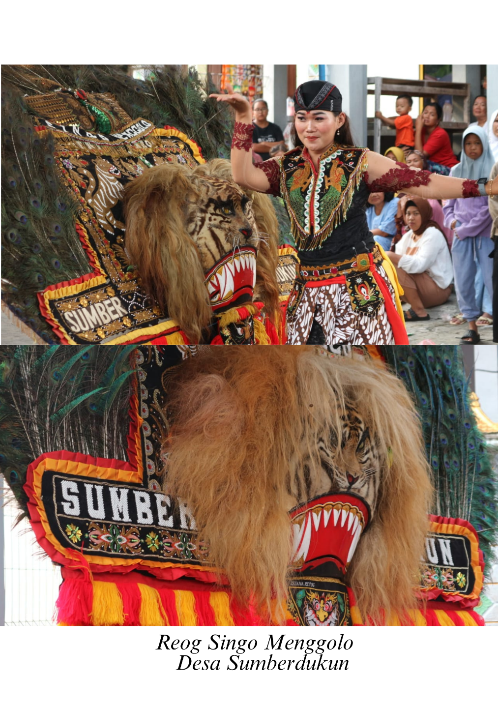 Potensi Desa