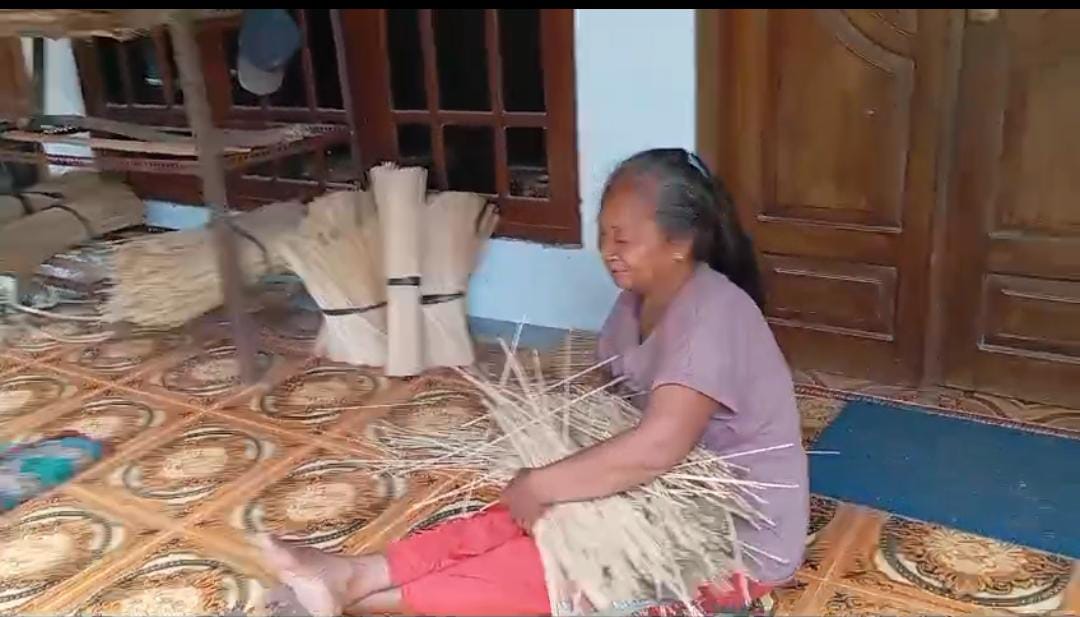 Potensi Desa